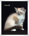 /album/arnold/arnold-12-hetes-004-jpg/